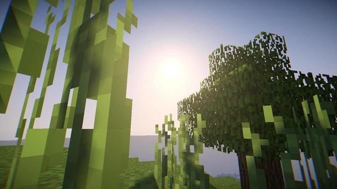 如何判断鱼缸中的硝化系统是否已经成功建立?